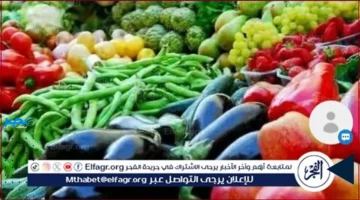 أسعار اليوم.. تحديث شامل لأسعار الفاكهة في أسيوط ليوم الإثنين 6 أكتوبر 2025